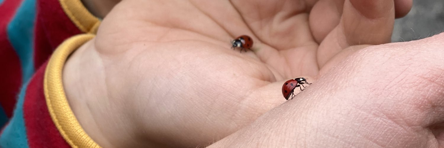 Alexandra Postrigan banner