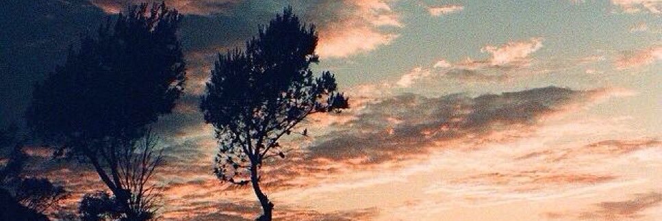beapeace98's profile banner image