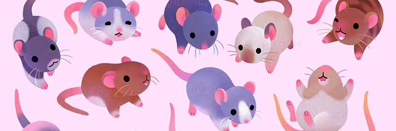 briebrie_uu's profile banner image