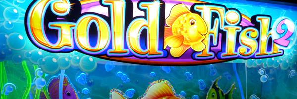 Allfreechips Profile Banner