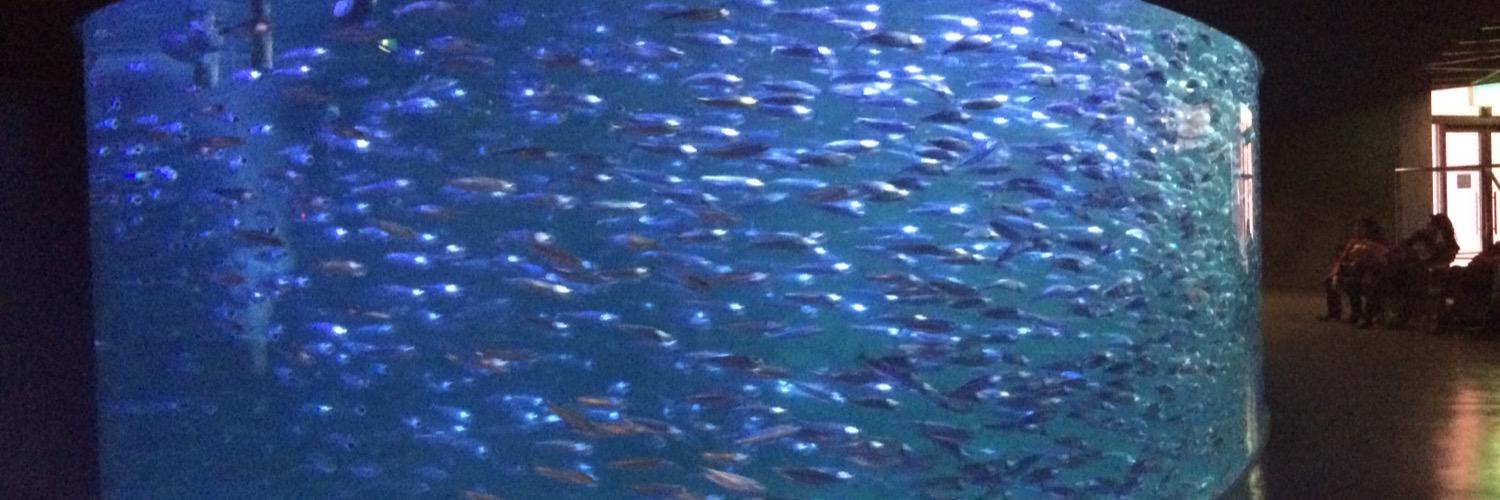 redman_2525's profile banner image