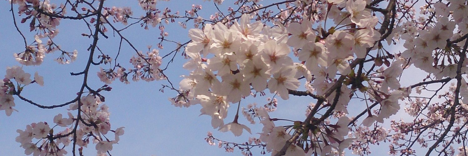 ichihime22's profile banner image