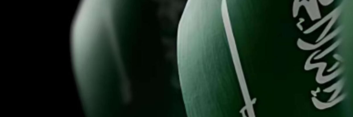 AliBinMuslih's profile banner image