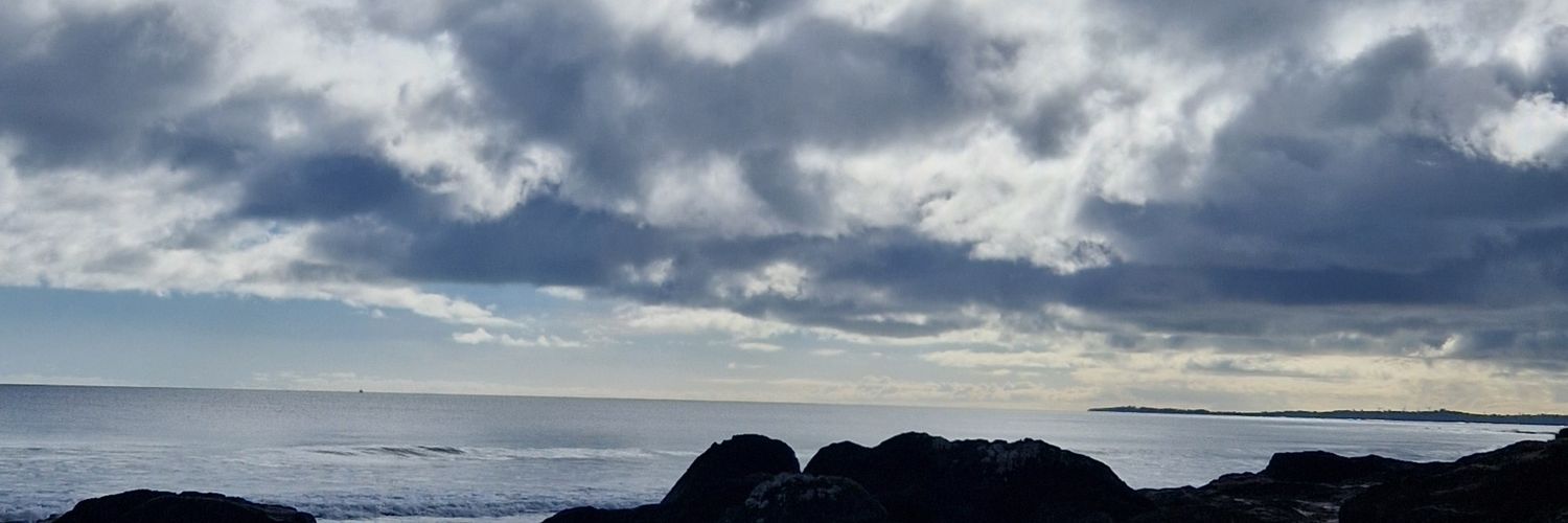 cat_stacey's profile banner image