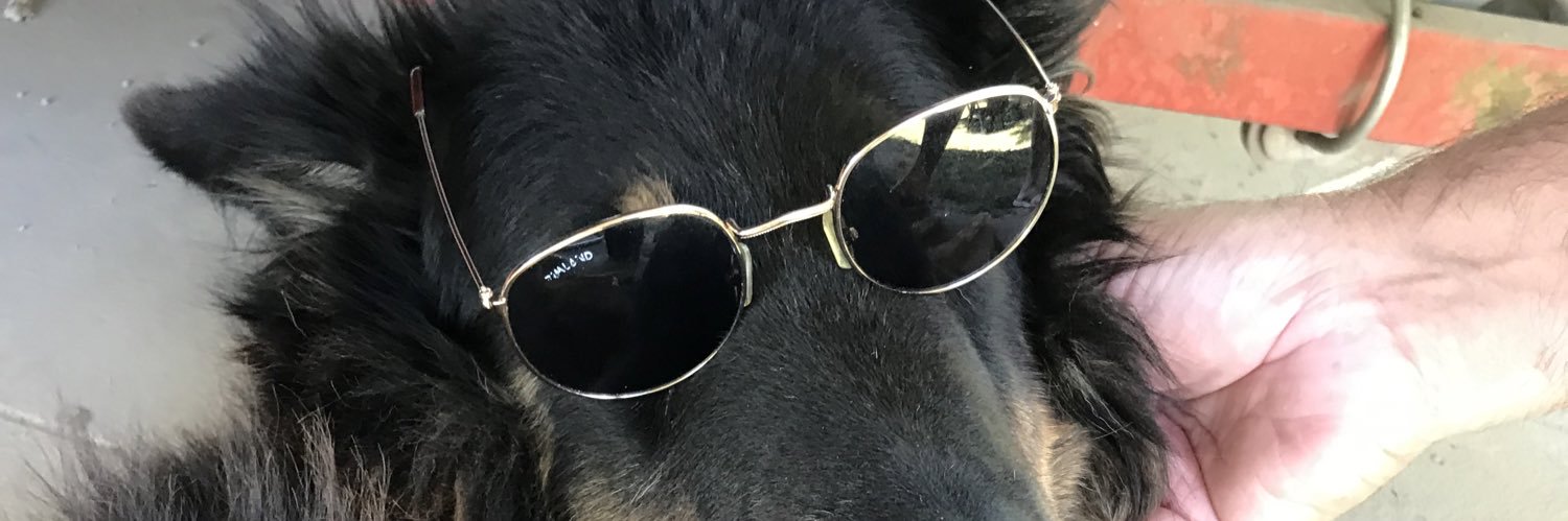 coniperez01's profile banner image