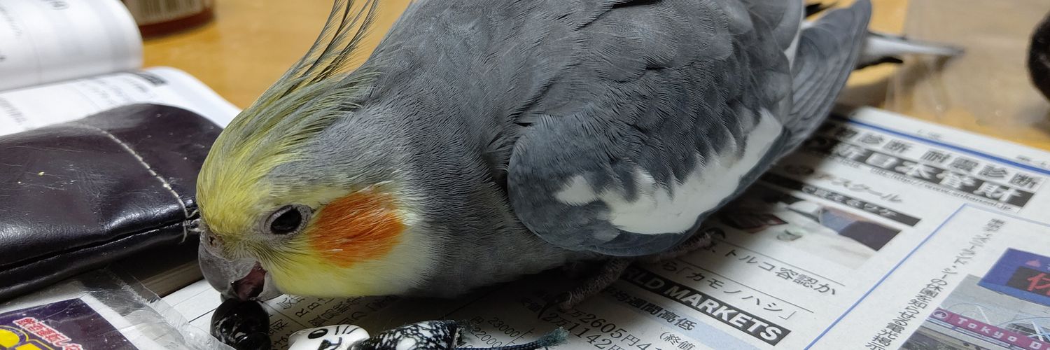 チャイカ(仮) banner