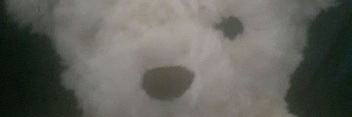 elenadelba1's profile banner image