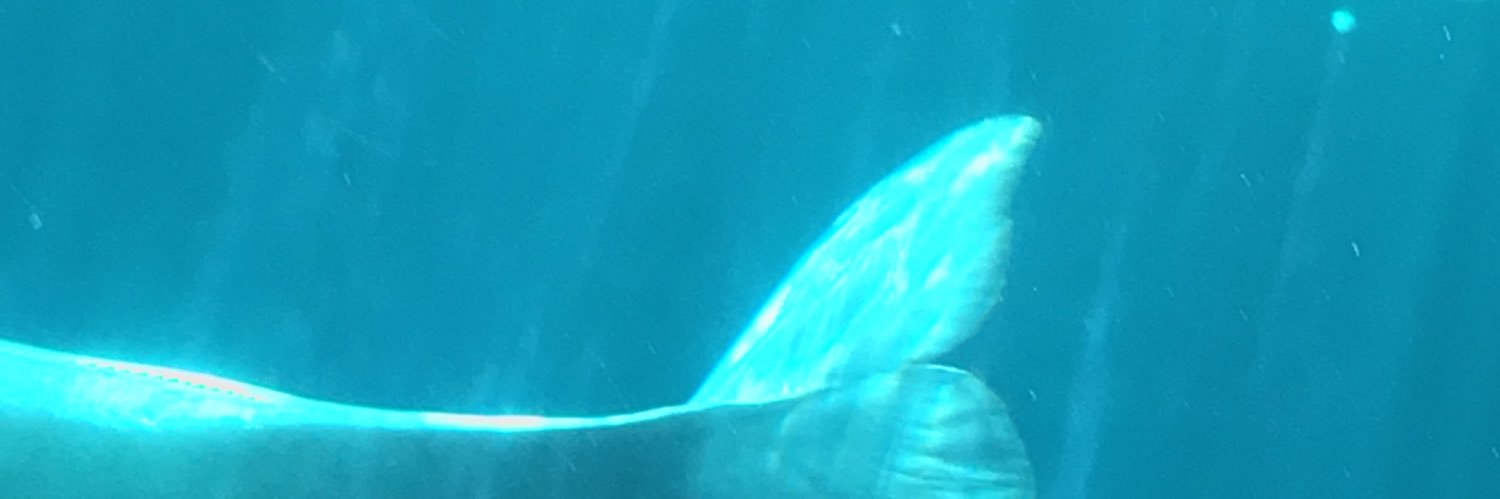 Jompowell's profile banner image