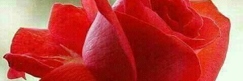 samega83865964's profile banner image