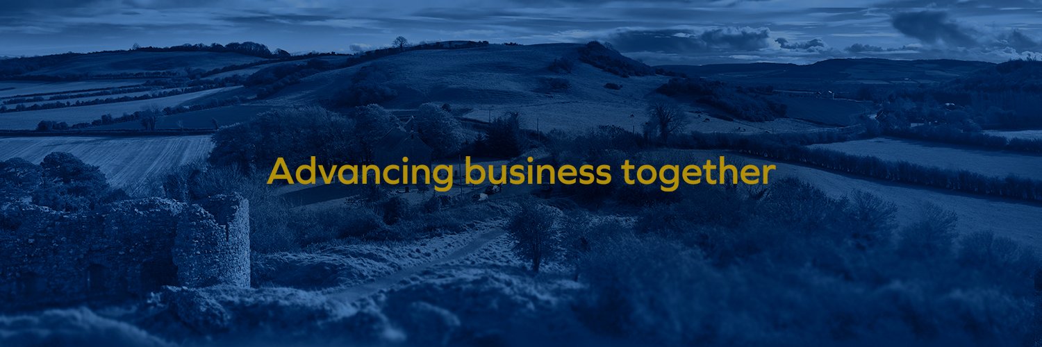 Laois Chamber Alliance banner