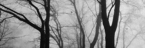 🕯𝕄𝕦𝕟𝕚𝕟𝕟 외 278명 banner