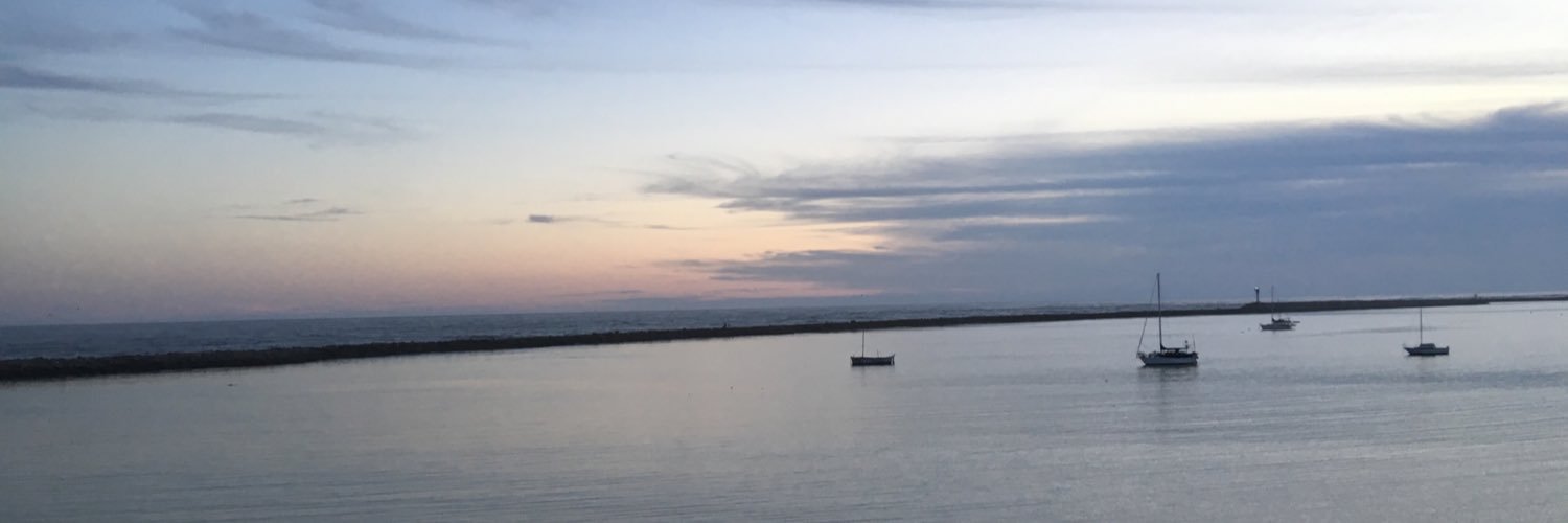 rkoonja's profile banner image