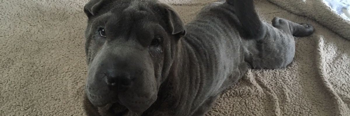 Luke_G88's profile banner image
