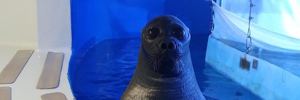 treykarnes_ Profile Banner