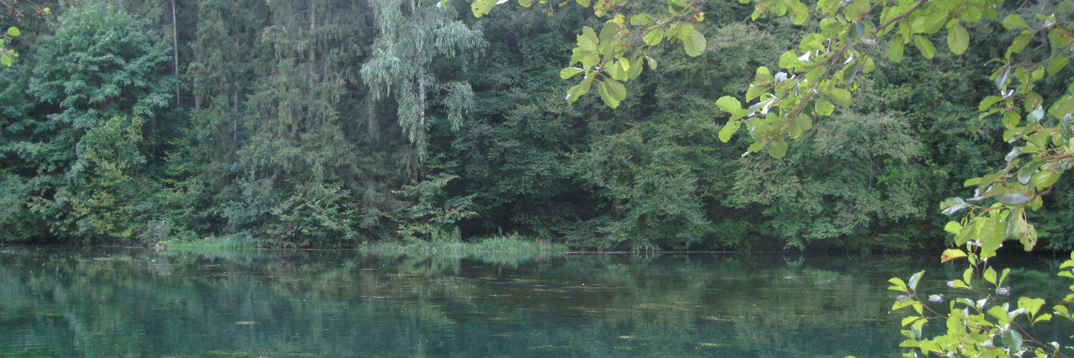 Teresa Montero banner