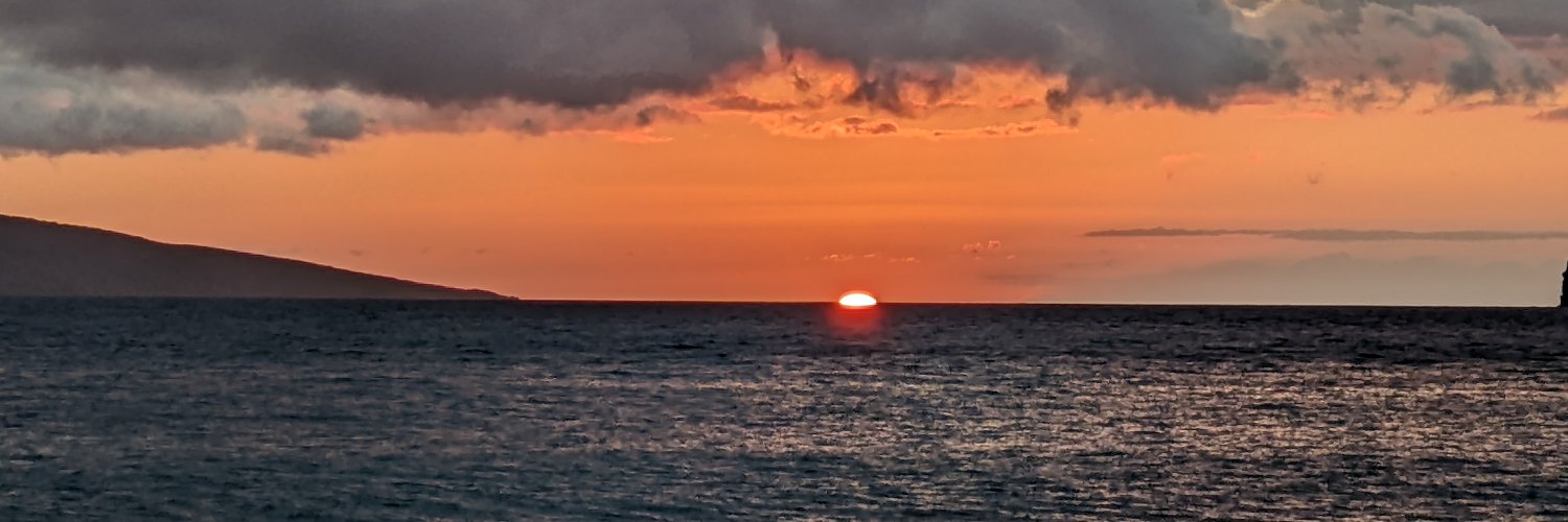 darcierankin's profile banner image