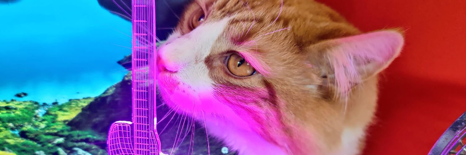 cerieds's profile banner image