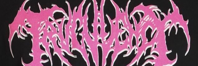 carolinha 🍒 banner