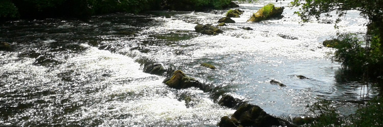 pweir54's profile banner image