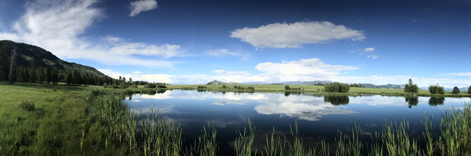 IkeKwon's profile banner image