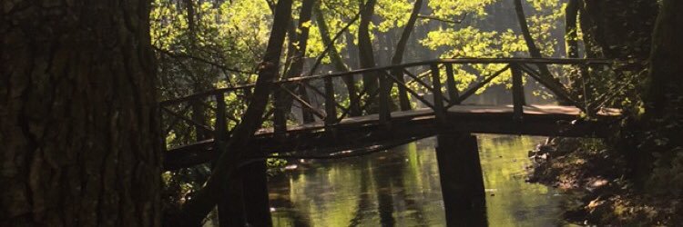 smsy1989's profile banner image