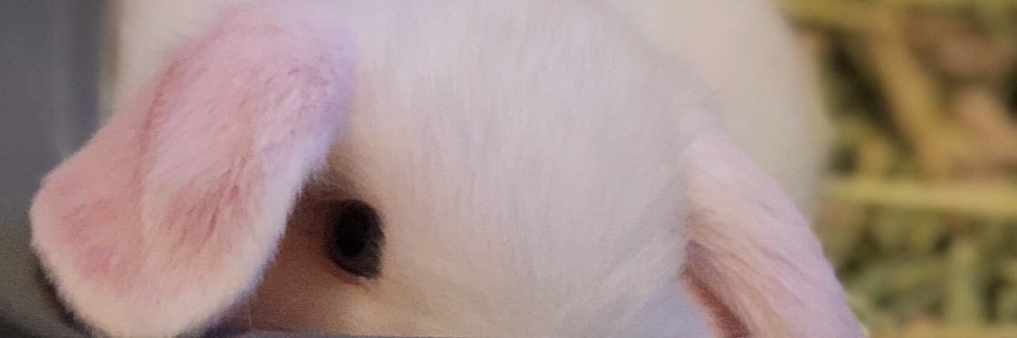 hurtywurty's profile banner image