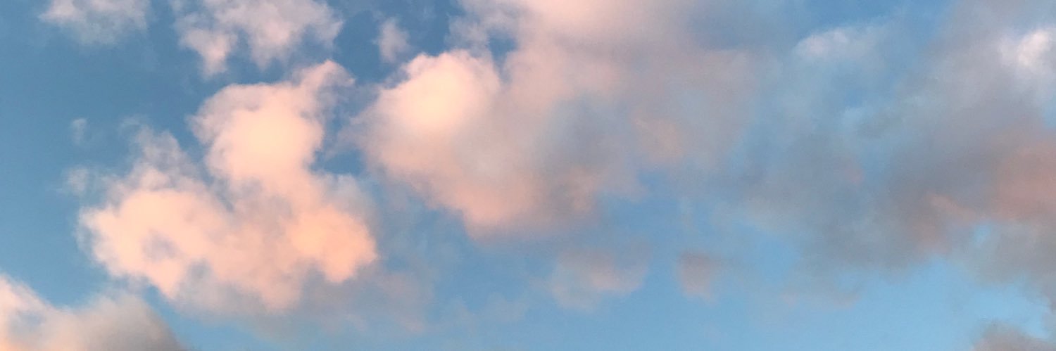 JadeEvans17's profile banner image