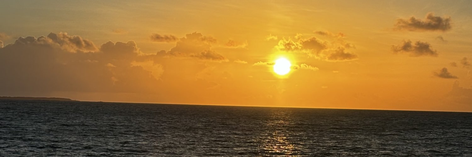 FlyguyToon's profile banner image