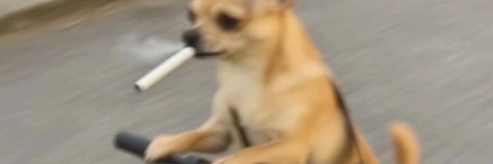 pimentopp's profile banner image