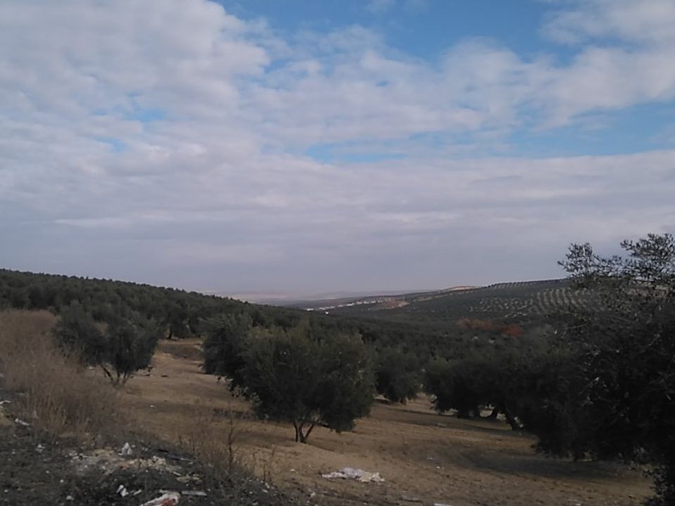 Currocurrito2's profile banner image