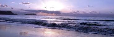 Palomaserra8's profile banner image