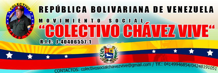 MSCChavezVive's profile banner image