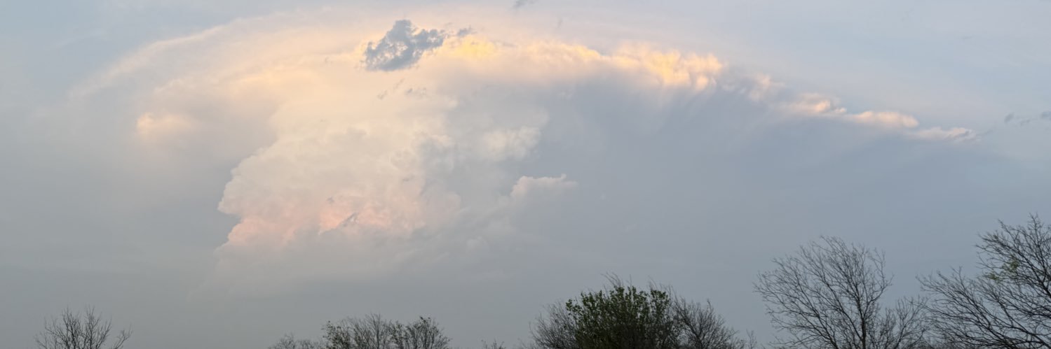 uhmryliee's profile banner image