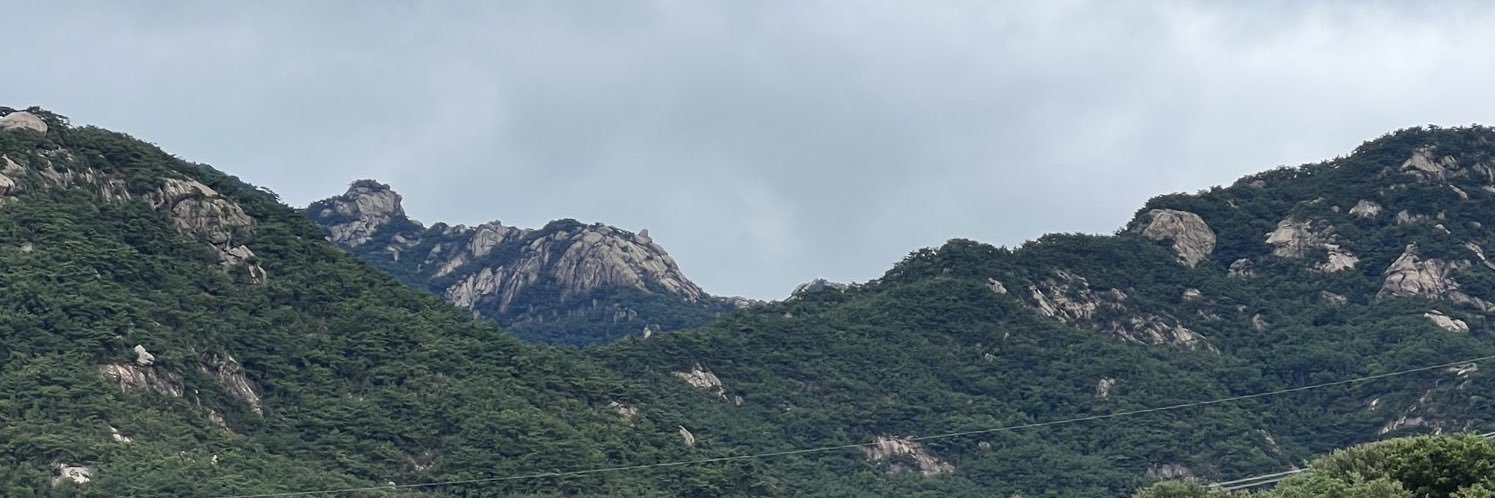 Monsterkrys's profile banner image