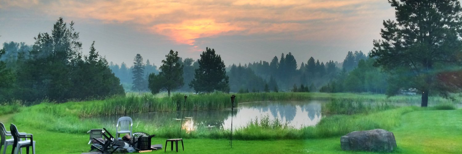 TyParrino's profile banner image