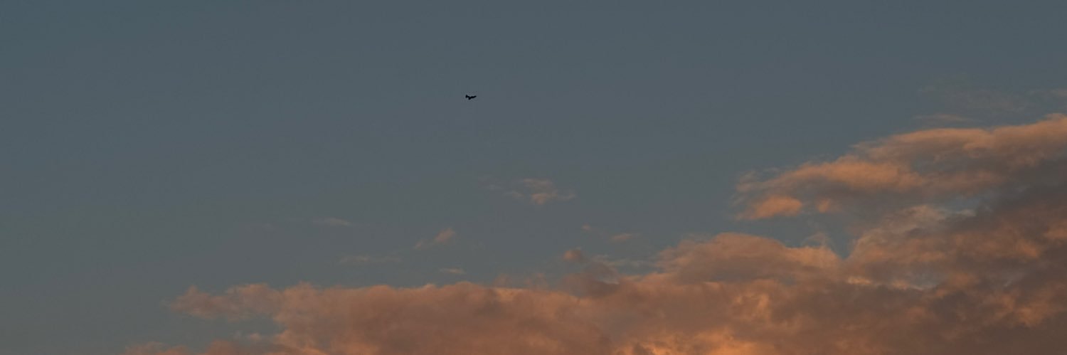 bussraeb's profile banner image