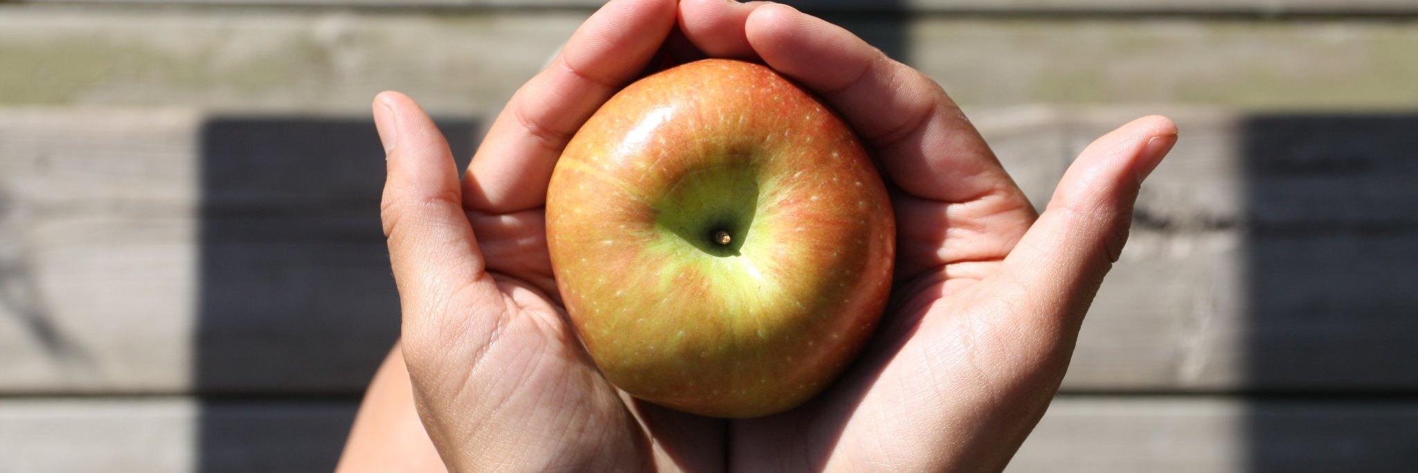 Uncommon Cider banner