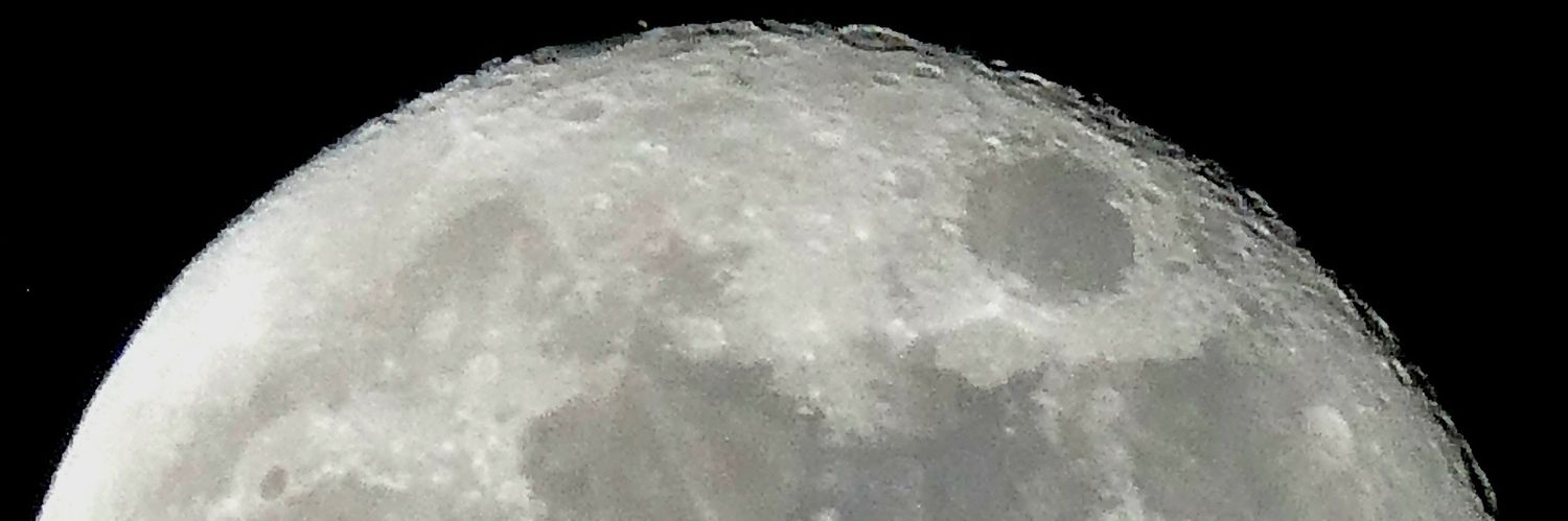 earltoonjohn's profile banner image