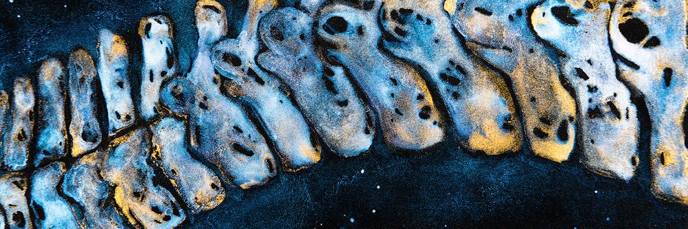 ryanchaseransom's profile banner image