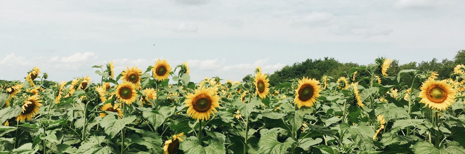collswanhart's profile banner image