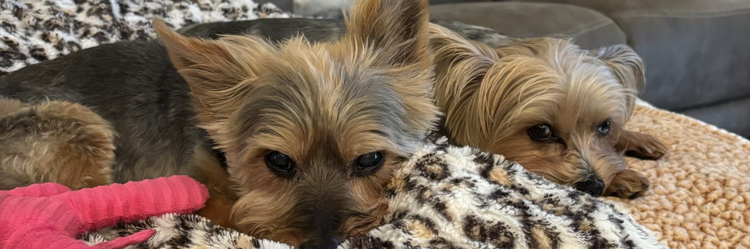 Ashley Wilson banner