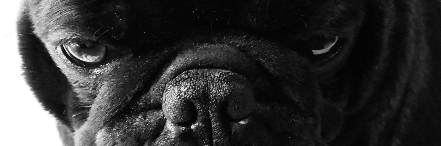 MichaelH2292's profile banner image