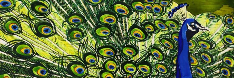 Annika Connor banner