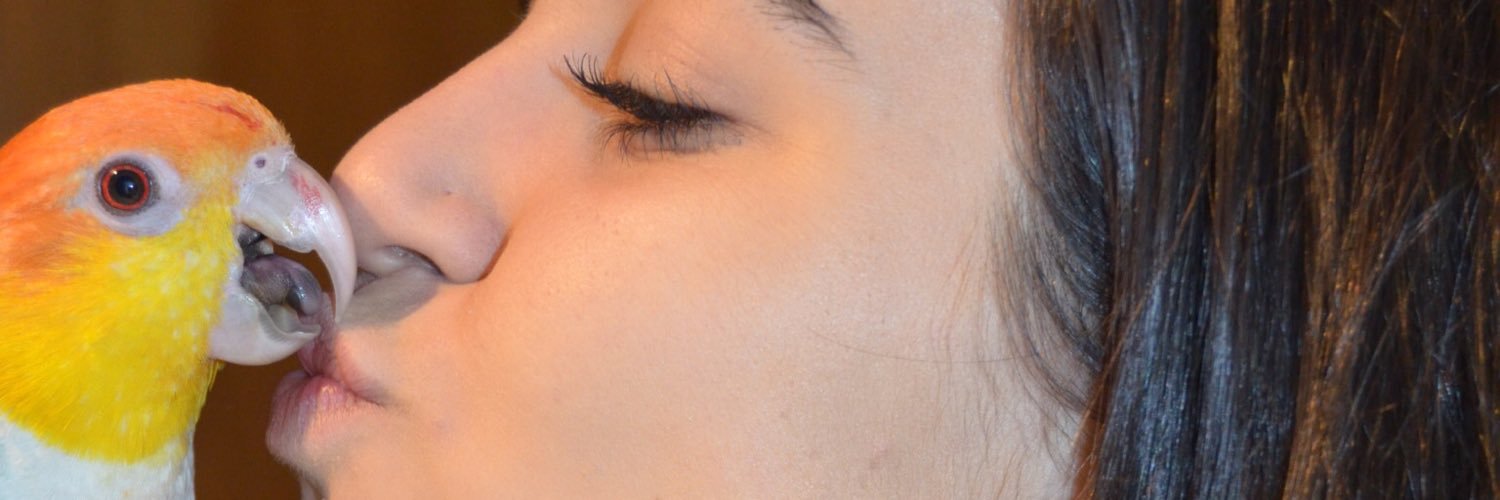 RsNerea's profile banner image