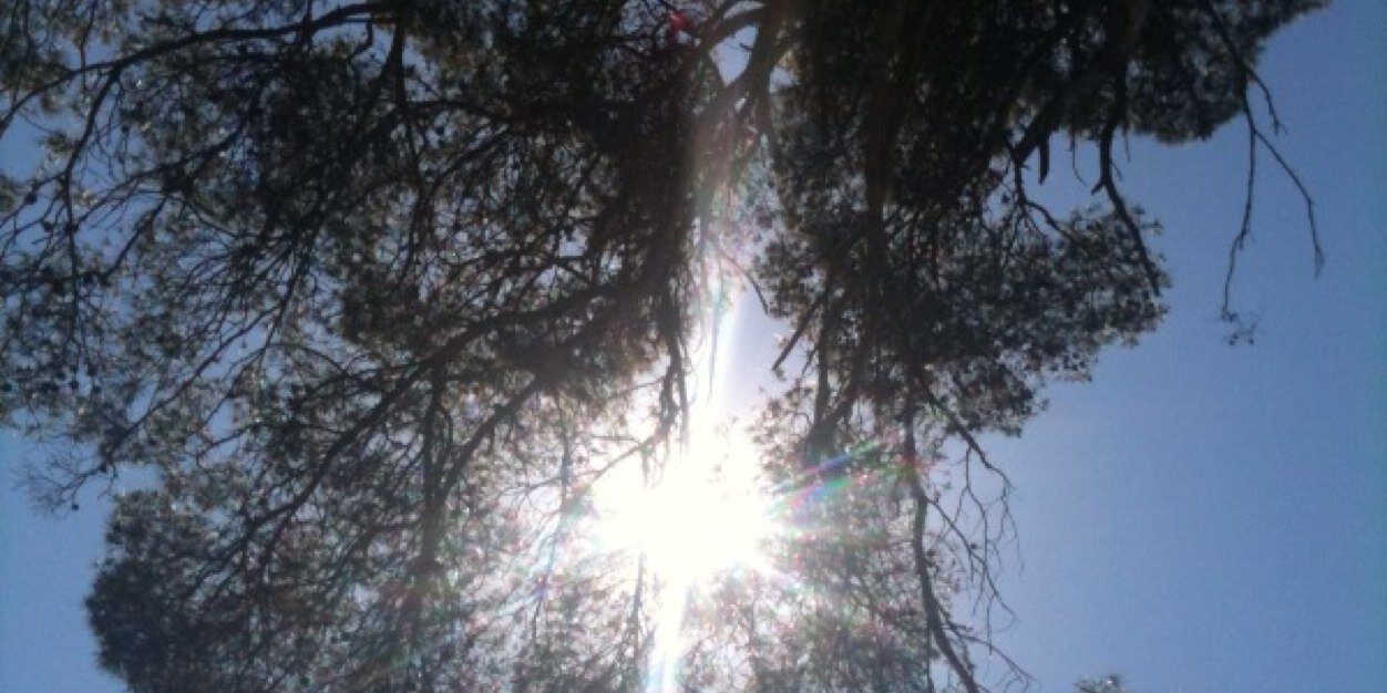 J E H banner