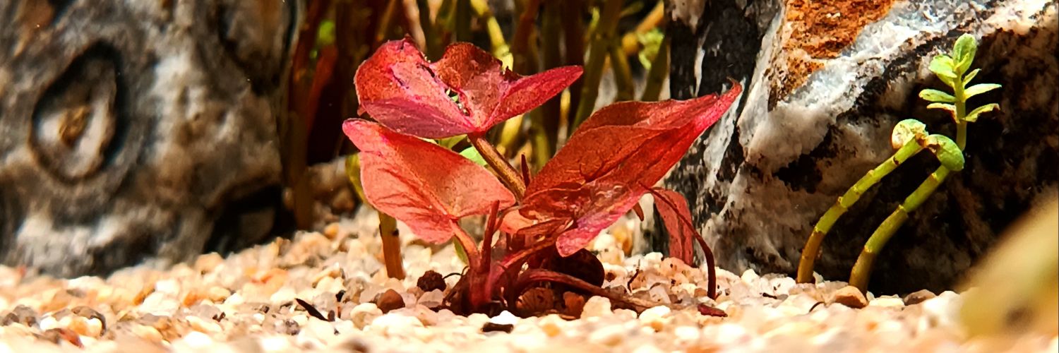 emrahzirk's profile banner image