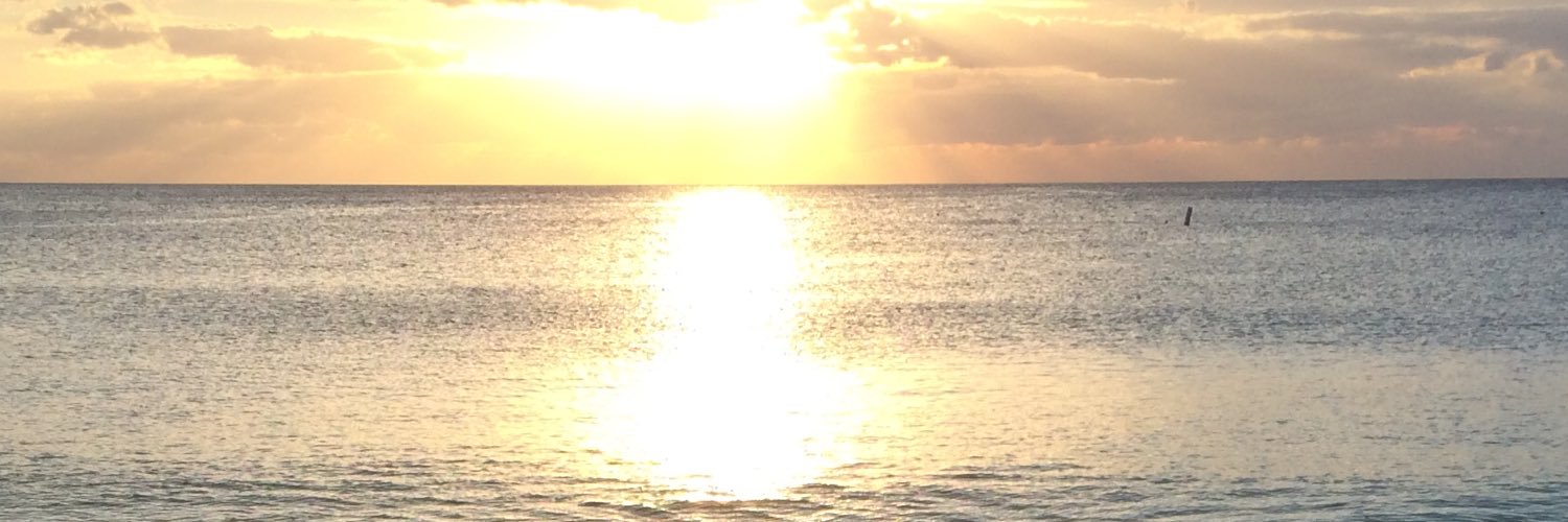 mrandymiranda's profile banner image