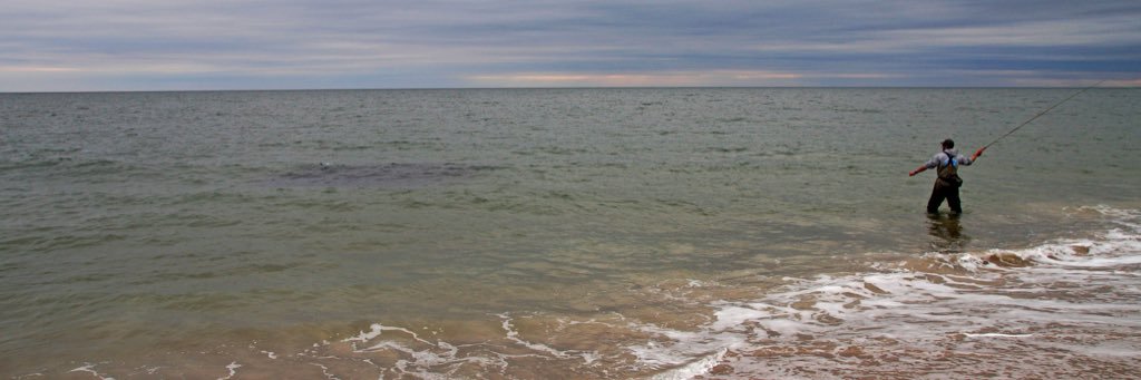 TDavidRitter's profile banner image