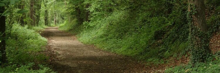 Shane Travill banner