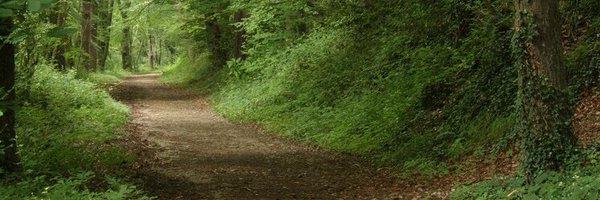 ShaneTravill Profile Banner